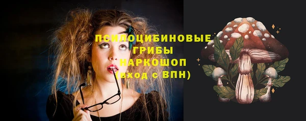 амф Володарск