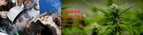 амф Володарск